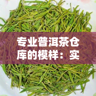 专业普洱茶仓库的模样：实拍图片与详细解析