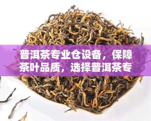 普洱茶专业仓设备，保障茶叶品质，选择普洱茶专业仓设备