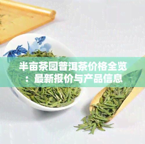 半亩茶园普洱茶价格全览：最新报价与产品信息