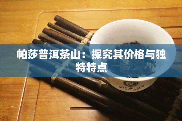 帕莎普洱茶山：探究其价格与独特特点