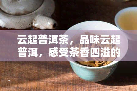 云起普洱茶，品味云起普洱，感受茶香四溢的韵味