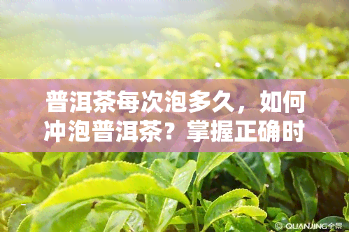 普洱茶每次泡多久，如何冲泡普洱茶？掌握正确时间，让你品尝到口感！