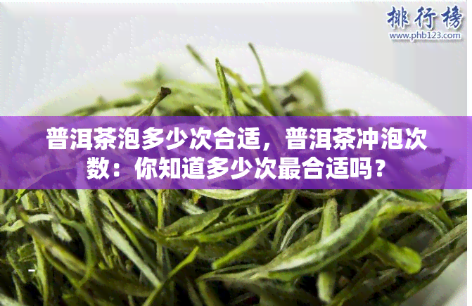 普洱茶泡多少次合适，普洱茶冲泡次数：你知道多少次最合适吗？