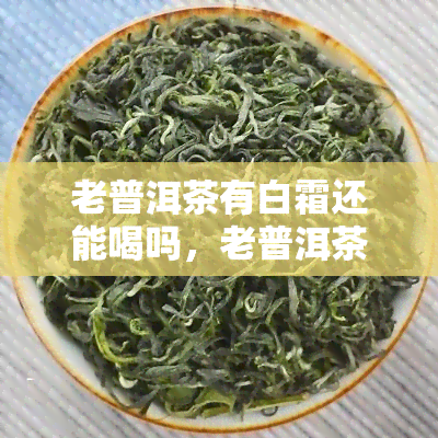 老普洱茶有白霜还能喝吗，老普洱茶的白霜是何物？对饮用有何影响？