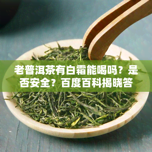 老普洱茶有白霜能喝吗？是否安全？百度百科揭晓答案