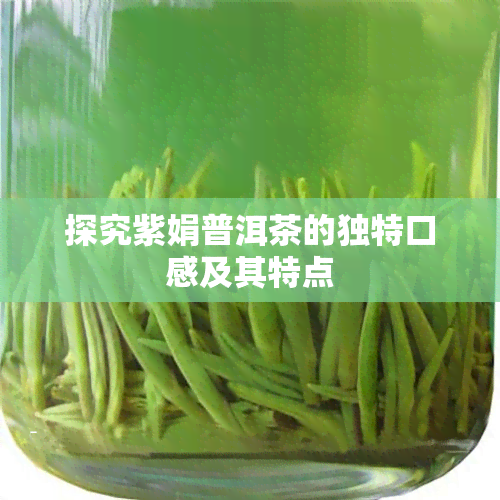 探究紫娟普洱茶的独特口感及其特点