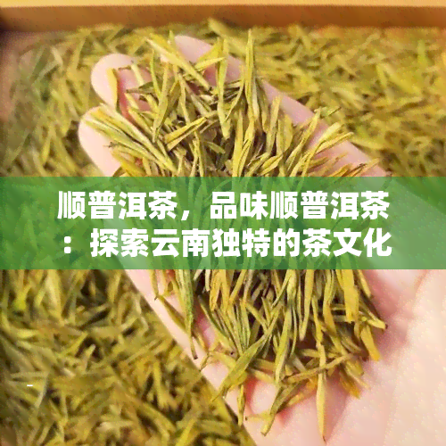 顺普洱茶，品味顺普洱茶：探索云南独特的茶文化