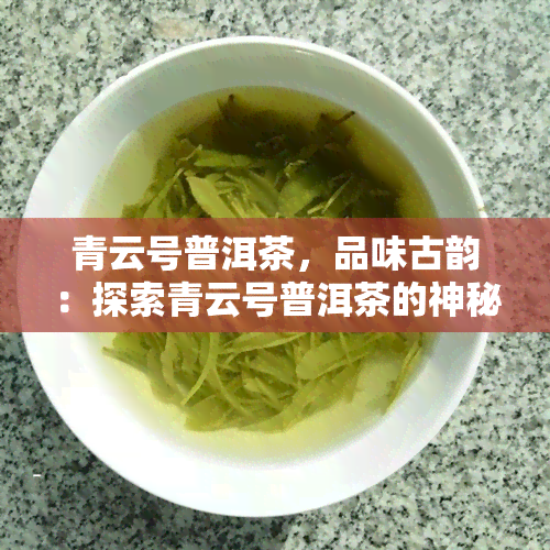 青云号普洱茶，品味古韵：探索青云号普洱茶的神秘世界