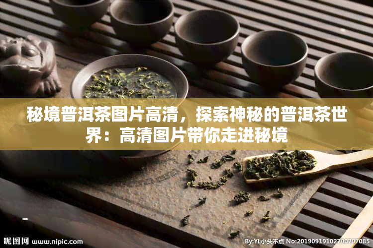 秘境普洱茶图片高清，探索神秘的普洱茶世界：高清图片带你走进秘境