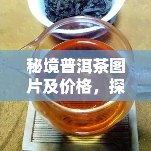 秘境普洱茶图片及价格，探索神秘的普洱茶世界：图片与价格一览