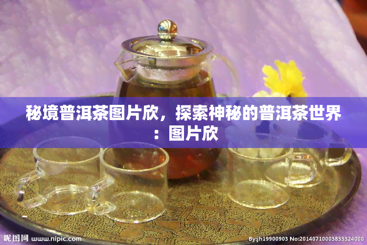 秘境普洱茶图片欣，探索神秘的普洱茶世界：图片欣