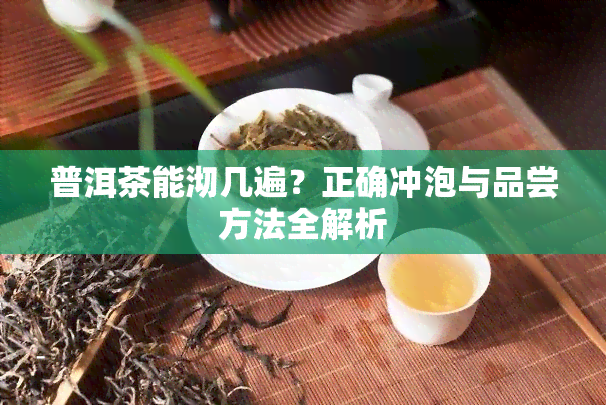 普洱茶能沏几遍？正确冲泡与品尝方法全解析