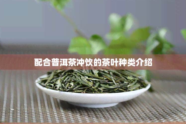 配合普洱茶冲饮的茶叶种类介绍