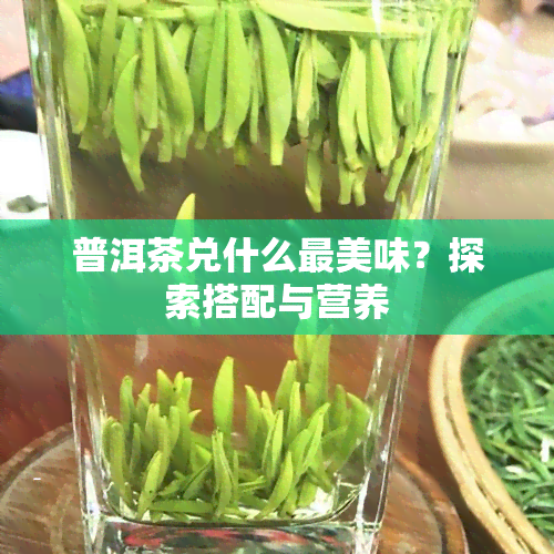 普洱茶兑什么最美味？探索搭配与营养