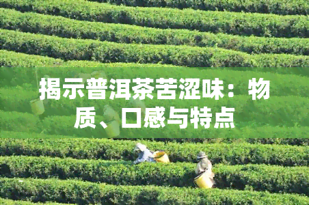 揭示普洱茶苦涩味：物质、口感与特点