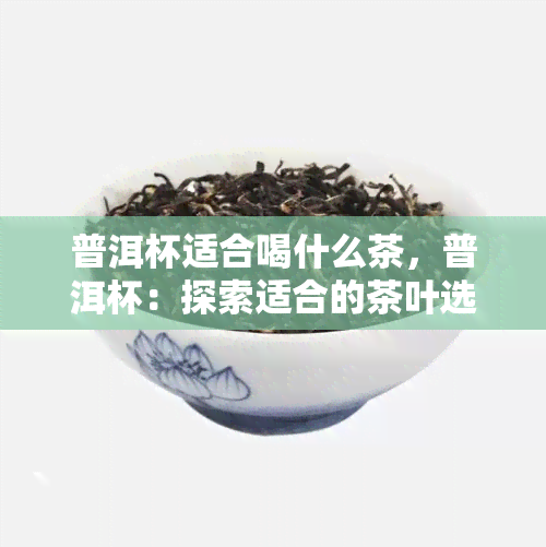 普洱杯适合喝什么茶，普洱杯：探索适合的茶叶选择