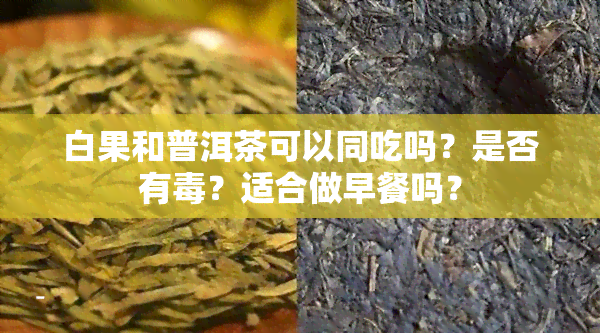 白果和普洱茶可以同吃吗？是否有？适合做早餐吗？