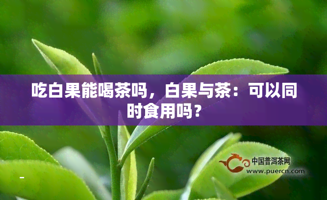 吃白果能喝茶吗，白果与茶：可以同时食用吗？