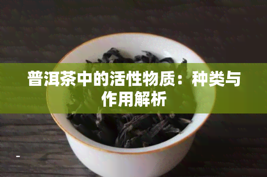 普洱茶中的活性物质：种类与作用解析