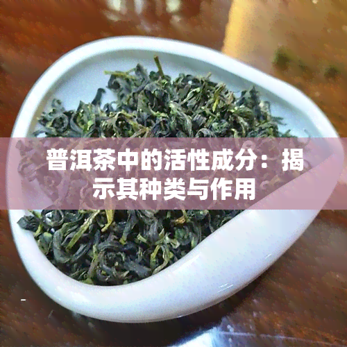 普洱茶中的活性成分：揭示其种类与作用