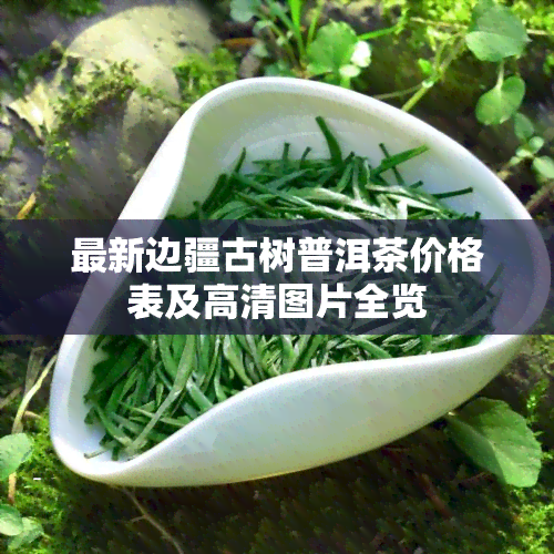 最新边疆古树普洱茶价格表及高清图片全览