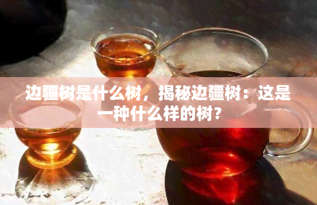 边疆树是什么树，揭秘边疆树：这是一种什么样的树？