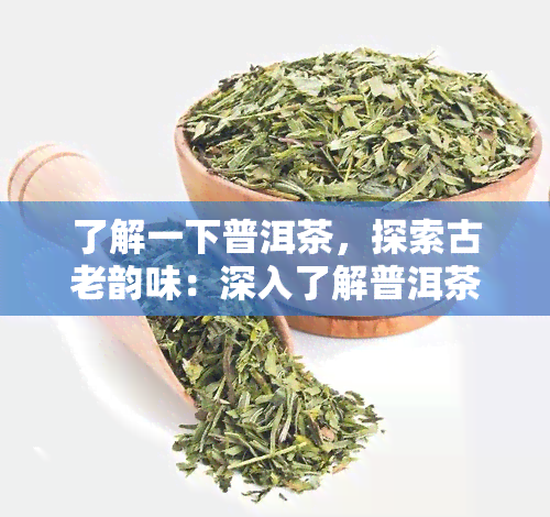 了解一下普洱茶，探索古老韵味：深入了解普洱茶的魅力