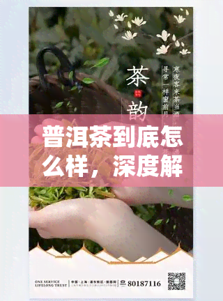 普洱茶到底怎么样，深度解析：普洱茶的口感、功效与选购指南