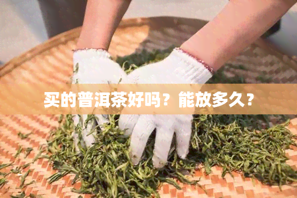 买的普洱茶好吗？能放多久？