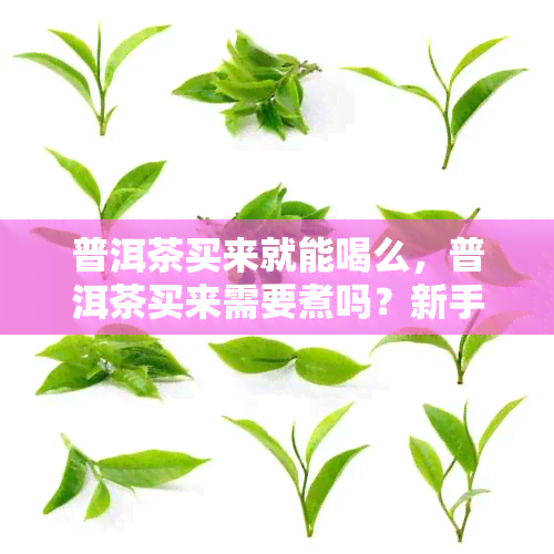 普洱茶买来就能喝么，普洱茶买来需要煮吗？新手必看！