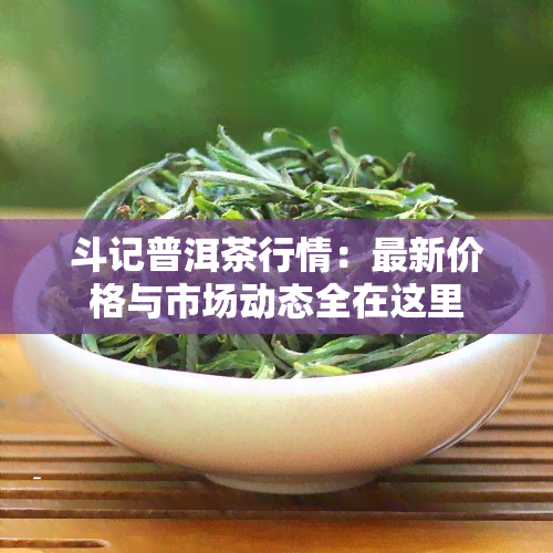 斗记普洱茶行情：最新价格与市场动态全在这里