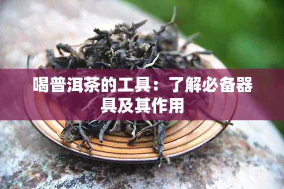 喝普洱茶的工具：了解必备器具及其作用