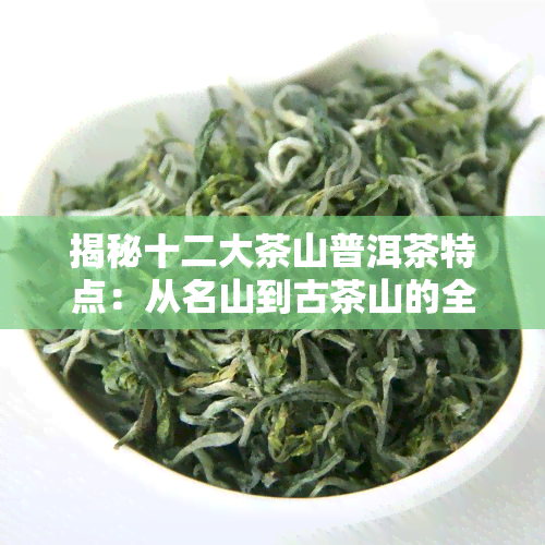 揭秘十二大茶山普洱茶特点：从名山到古茶山的全面解析