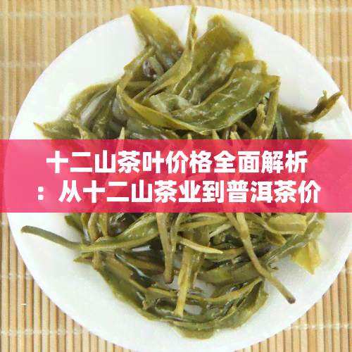 十二山茶叶价格全面解析：从十二山茶业到普洱茶价格全了解