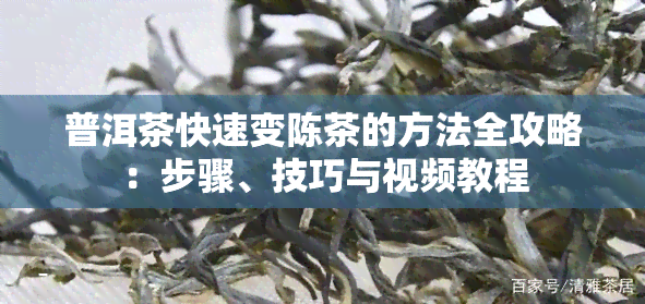 普洱茶快速变陈茶的方法全攻略：步骤、技巧与视频教程