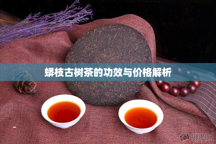 蟒枝古树茶的功效与价格解析