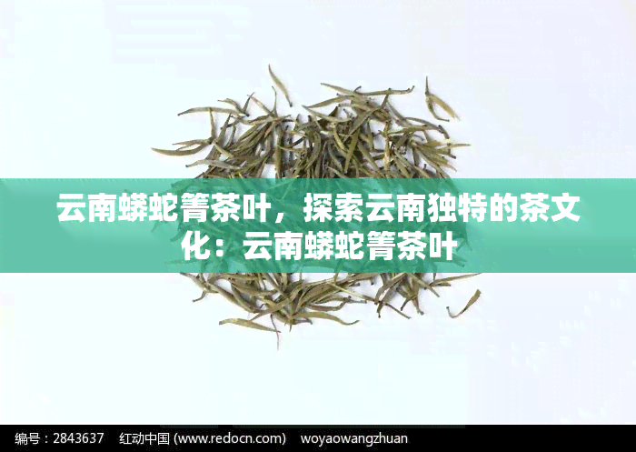 云南蟒蛇箐茶叶，探索云南独特的茶文化：云南蟒蛇箐茶叶