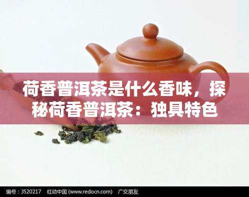 荷香普洱茶是什么香味，探秘荷香普洱茶：独具特色的香气体验