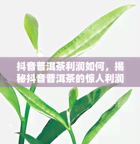 抖音普洱茶利润如何，揭秘抖音普洱茶的惊人利润，你是否错过这个赚钱的机会？