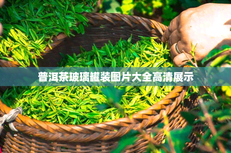 普洱茶玻璃罐装图片大全高清展示