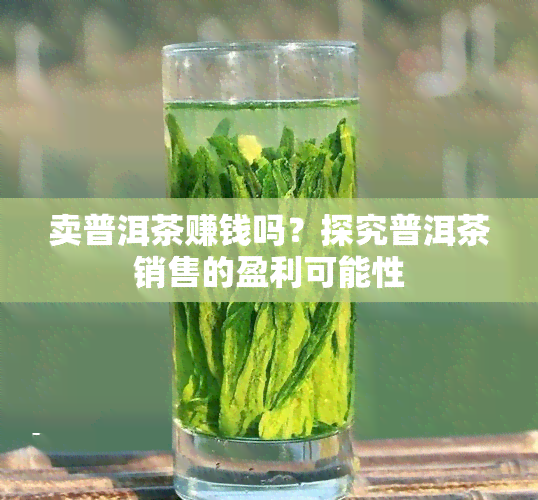 卖普洱茶赚钱吗？探究普洱茶销售的盈利可能性