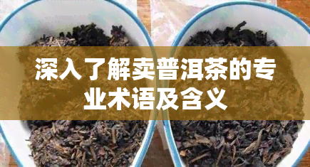 深入了解卖普洱茶的专业术语及含义