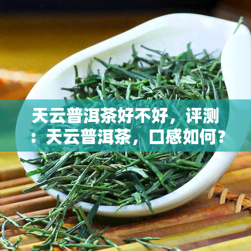 天云普洱茶好不好，评测：天云普洱茶，口感如何？值得一试吗？