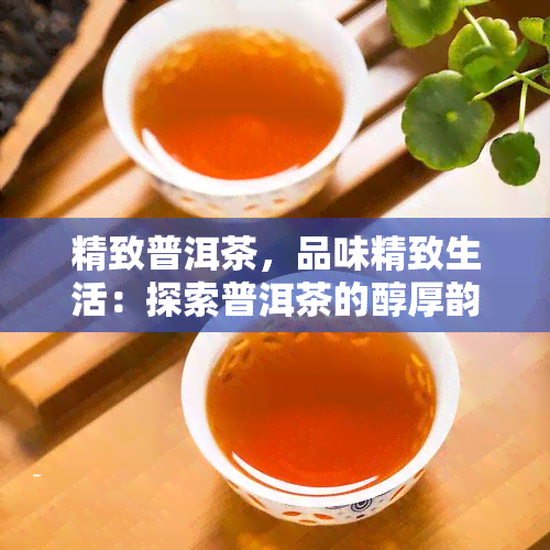 精致普洱茶，品味精致生活：探索普洱茶的醇厚韵味