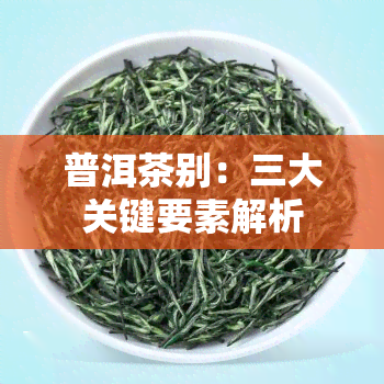 普洱茶别：三大关键要素解析