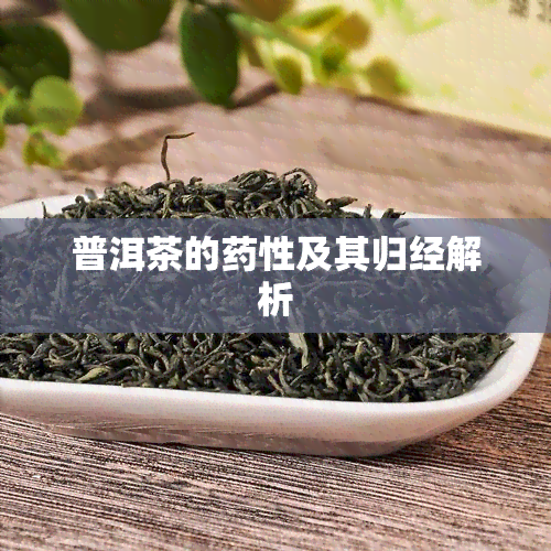 普洱茶的性及其归经解析