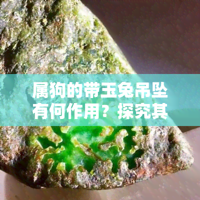 属狗的带玉兔吊坠有何作用？探究其吉祥寓意与佩戴好处