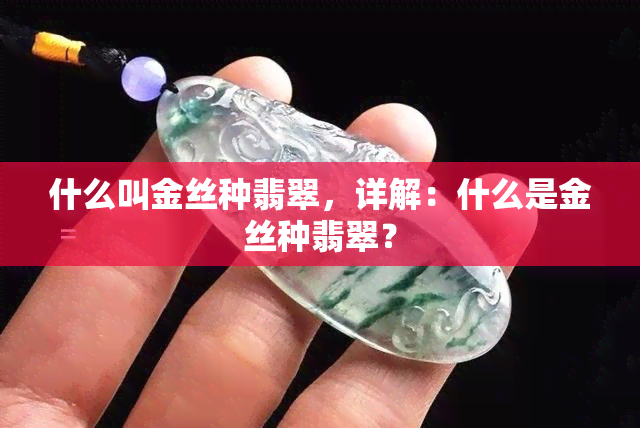 什么叫金丝种翡翠，详解：什么是金丝种翡翠？