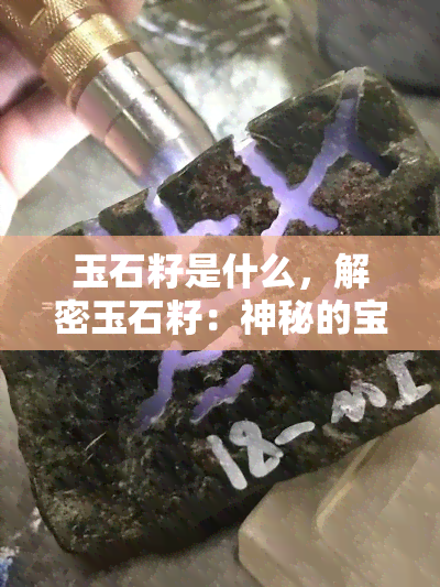 玉石籽是什么，解密玉石籽：神秘的宝石原料及其独特特性