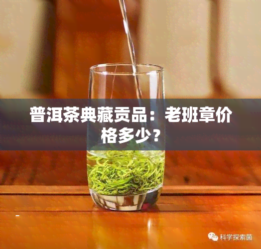 普洱茶典藏贡品：老班章价格多少？